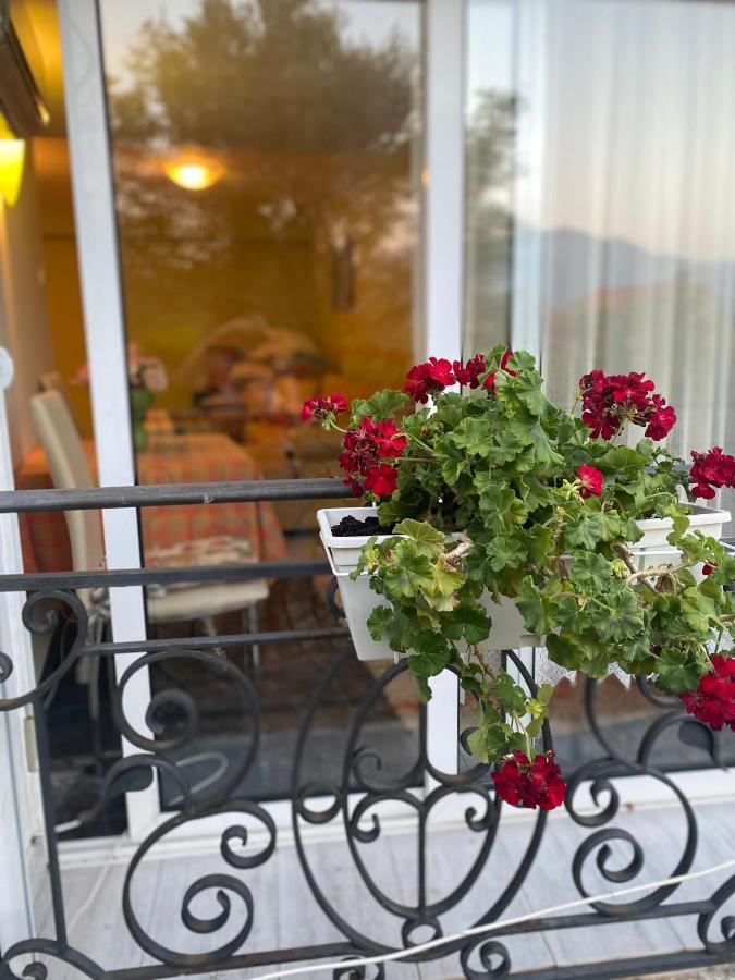 Villa Mare Apartments Tivat Dış mekan fotoğraf